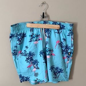 Hollister Co Men's Swim Trunks (L)
